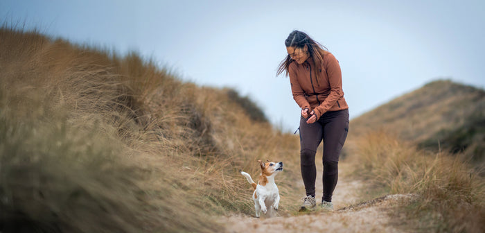 Here's the checklist for when your dog joins you on vacation