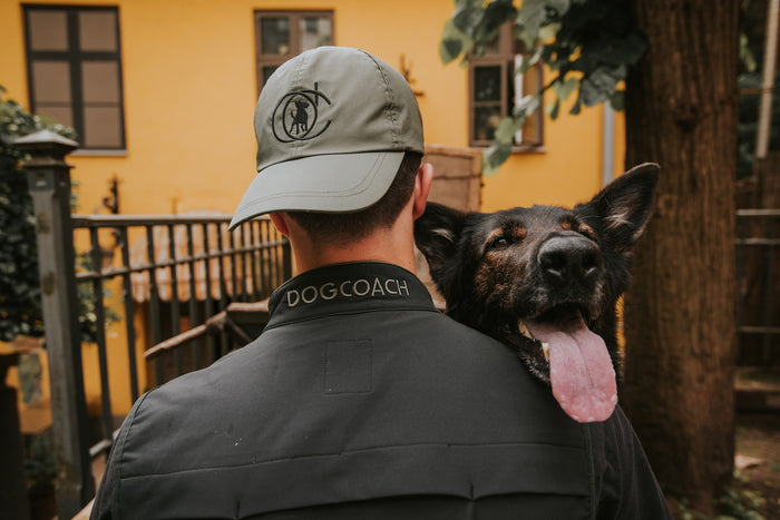 10 things you never expected as a dog dad