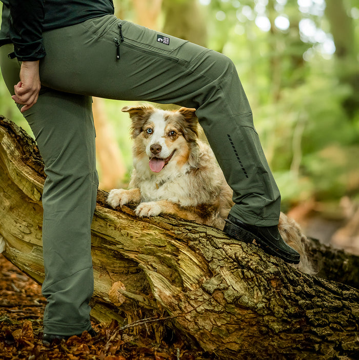 Dog Walker Allround Pants | Beetle | Regular | Auri