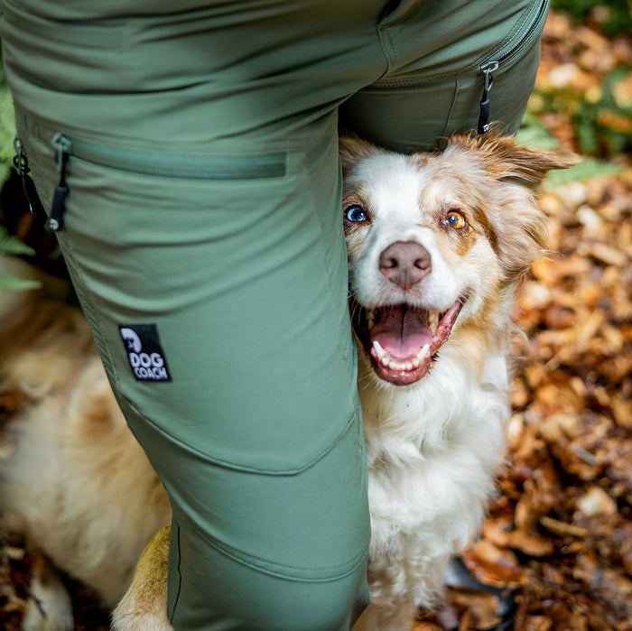 Dog Walker Allround Pants | Beetle | Regular | Auri