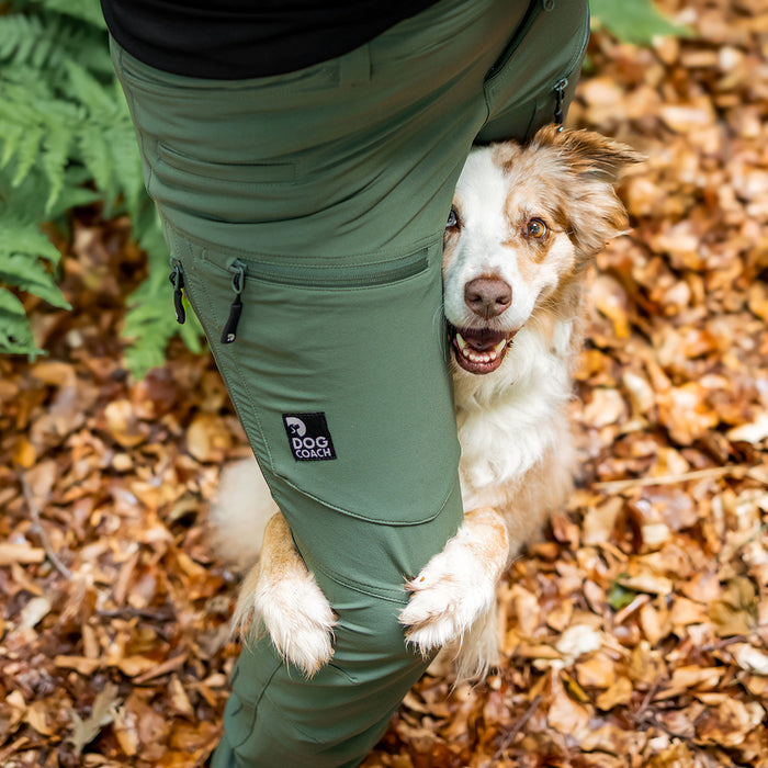 Dog Walker Allround Pants | Beetle | Regular | Auri
