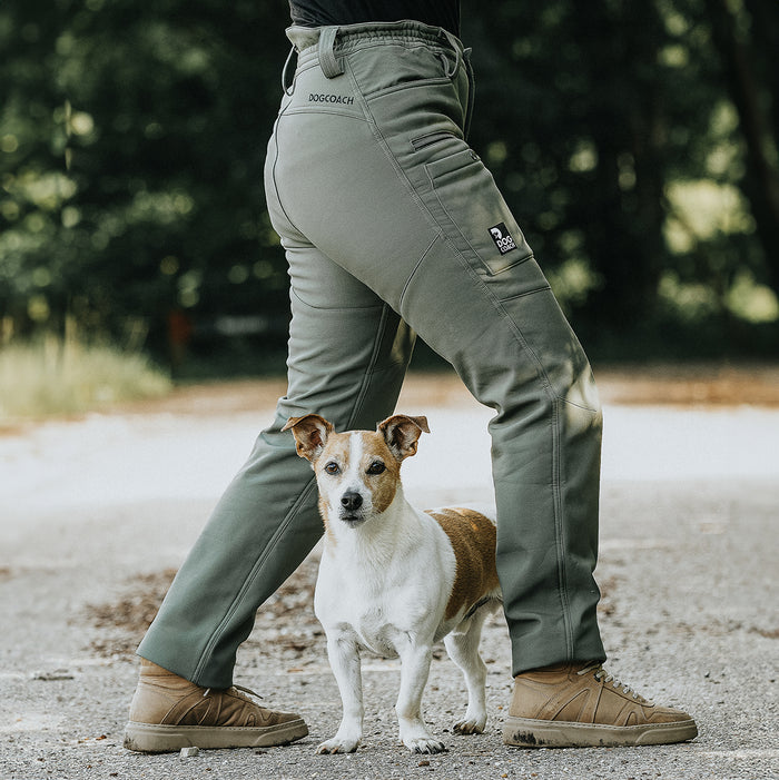 Winter Pants 2.0 | Regular | Beetle | CatchMe