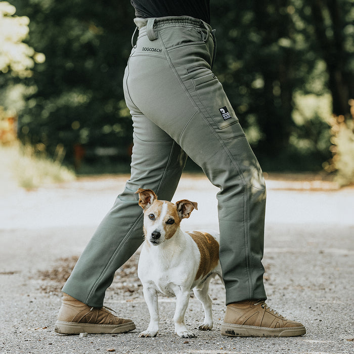 Winter Pants 2.0 | Short | Beetle | Jax
