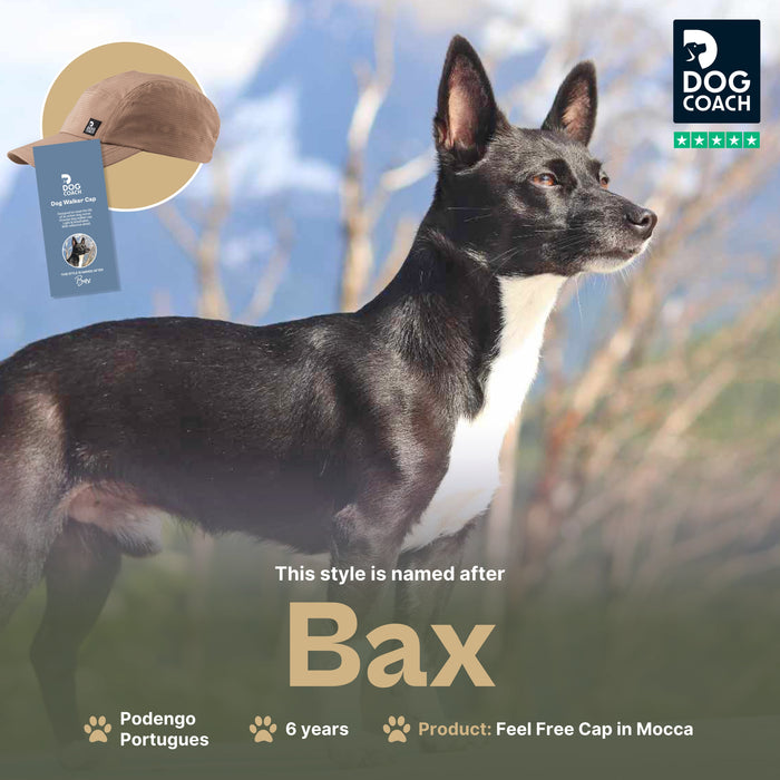 FeelFree Cap | Mocca | Bax