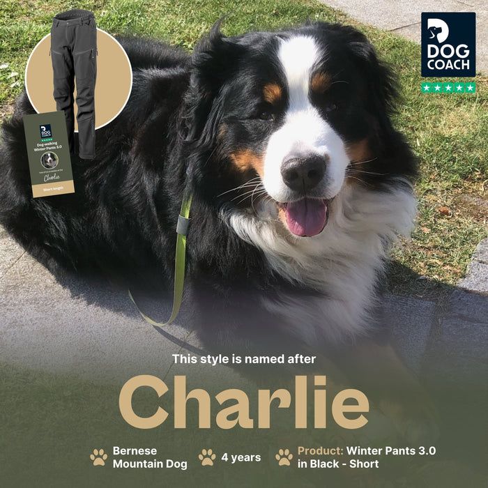 Winter Pants 3.0 | Short | Black | Charlie