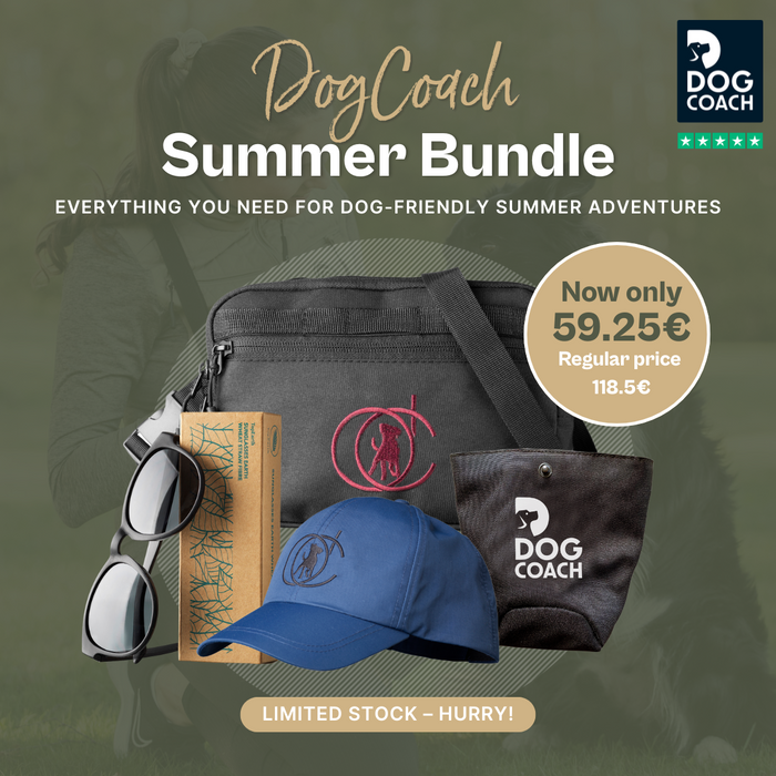 DogCoach summer bundle