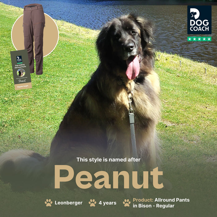 Dog Walker Allround Pants | Bison | Regular | Peanut