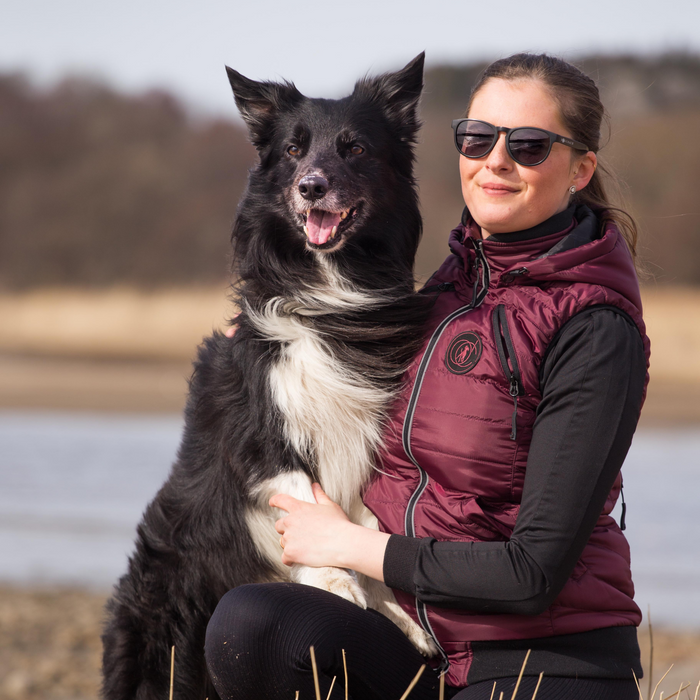 DogCoach summer bundle