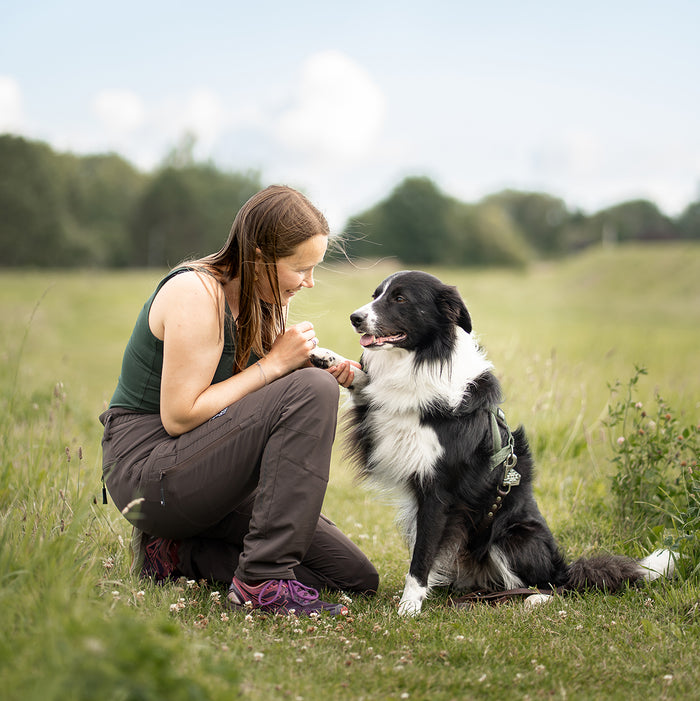 Dog Walker Allround Pants | Bison | Long | Ready