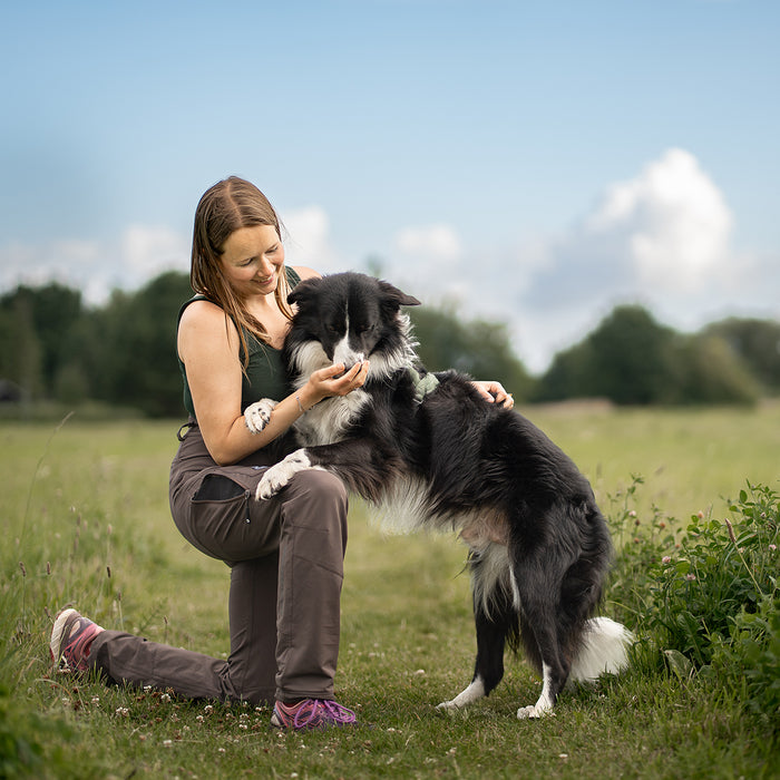 Dog Walker Allround Pants | Bison | Long | Ready