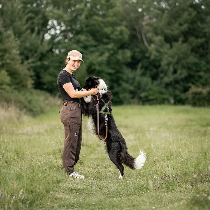 Dog Walker Allround Pants | Bison | Long | Ready