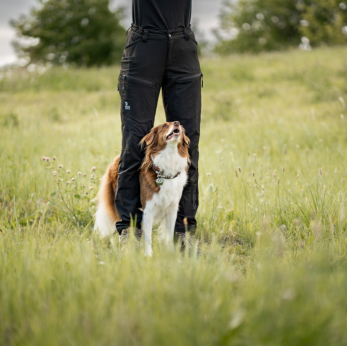 Dog Walker Allround Pants | Black | Regular | Vela
