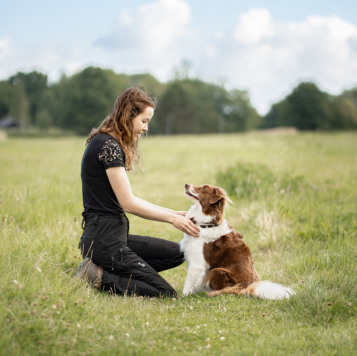 Dog Walker Allround Pants | Black | Regular | Vela