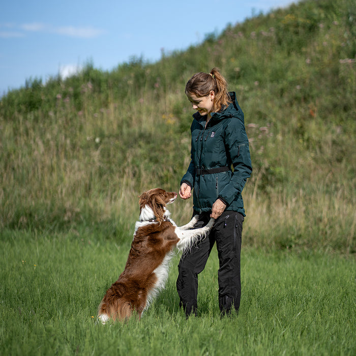 Dog Walker Allround Pants | Black | Regular | Vela