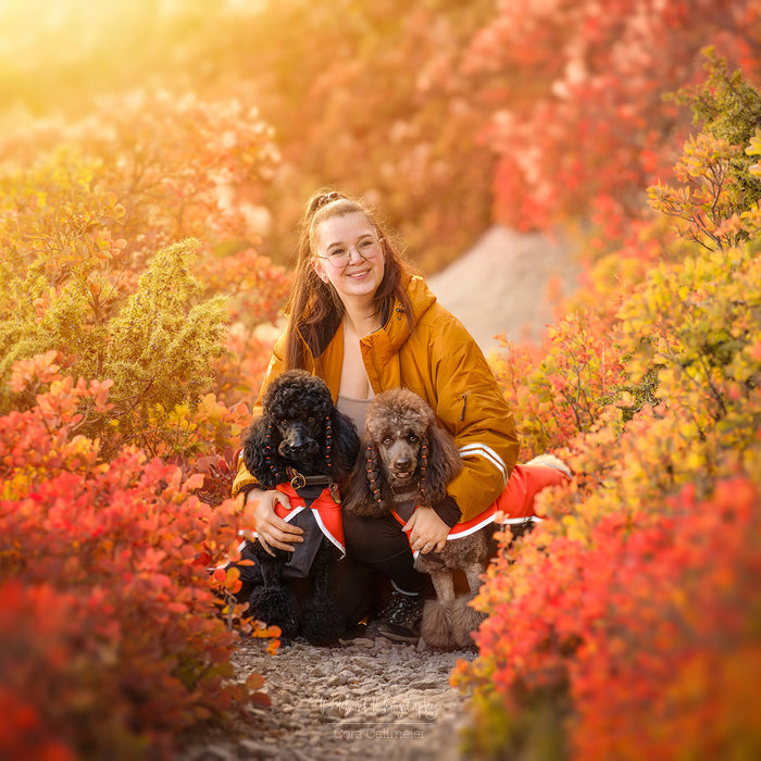 Long KeepDry Dog Walker Coat | Mustard | Dorthea