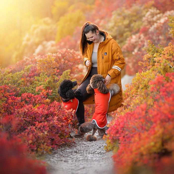 Long KeepDry Dog Walker Coat | Mustard | Dorthea