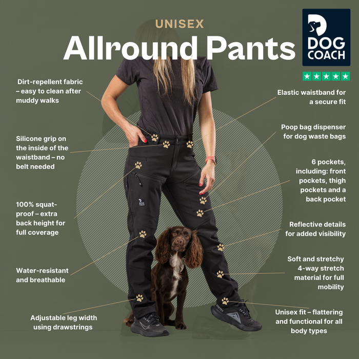 Dog Walker Allround Pants | Bison | Long | Ready