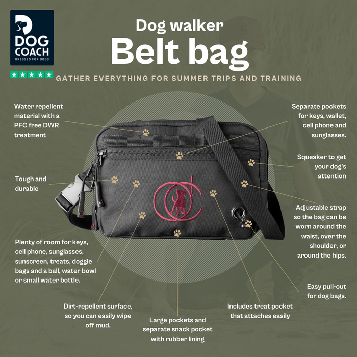 Belt Bag | Burgundy | Marley