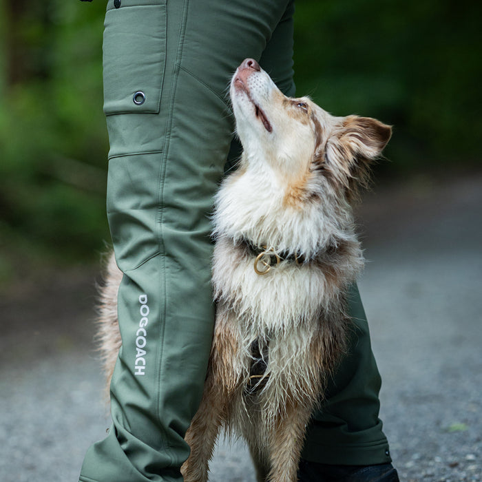 Winter Pants 2.0 | Regular | Beetle | CatchMe