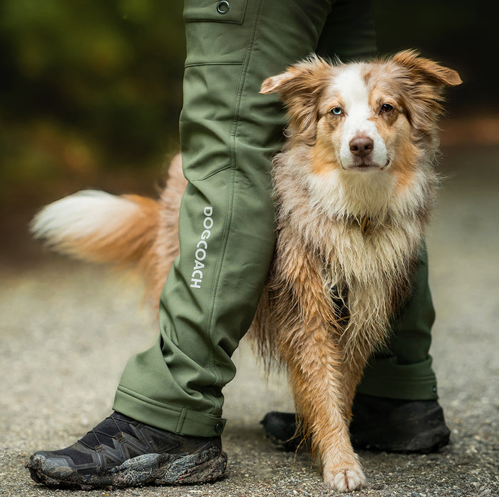 Winter Pants 2.0 | Regular | Beetle | CatchMe