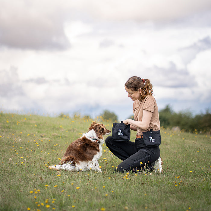 DogCoach Treat Pocket | Elite | Regular | Bison | Natz