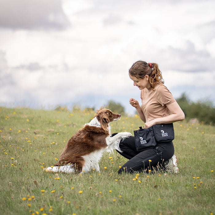 DogCoach Treat Pocket | Elite | Regular | Bison | Natz