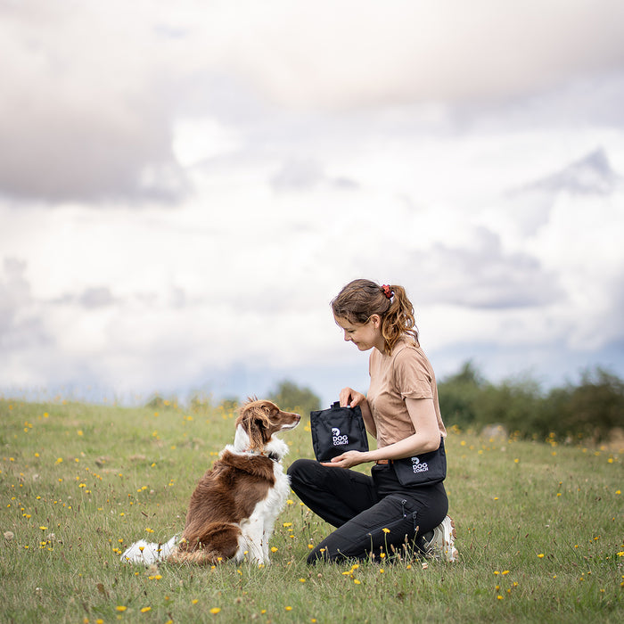 DogCoach Treat Pocket | Elite | Regular | Bison | Natz