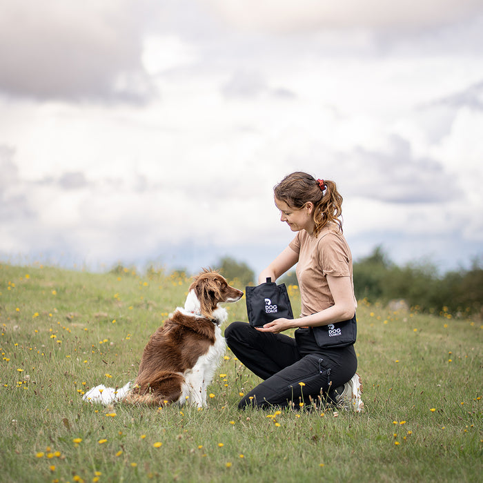 DogCoach Treat Pocket | Elite | Regular | Bison | Natz