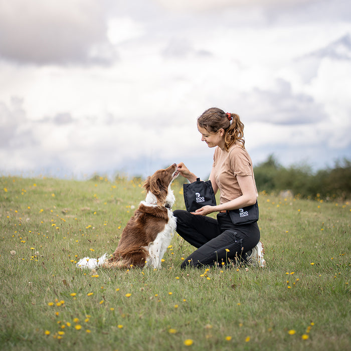 DogCoach Treat Pocket | Elite | Regular | Bison | Natz