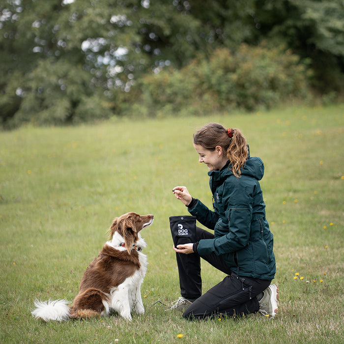 DogCoach Treat Pocket | Hobby | Regular | Bison | Xabi