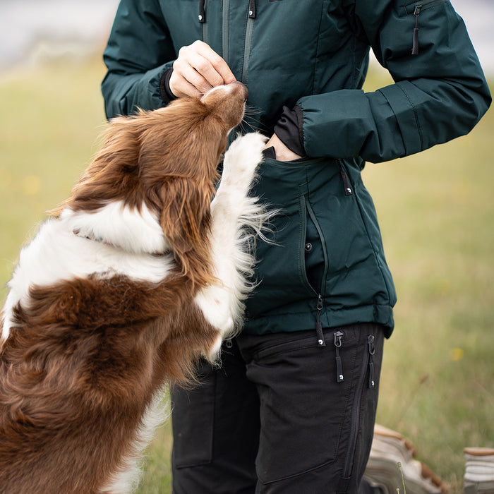 DogCoach Treat Pocket | Elite | Regular | Bison | Natz