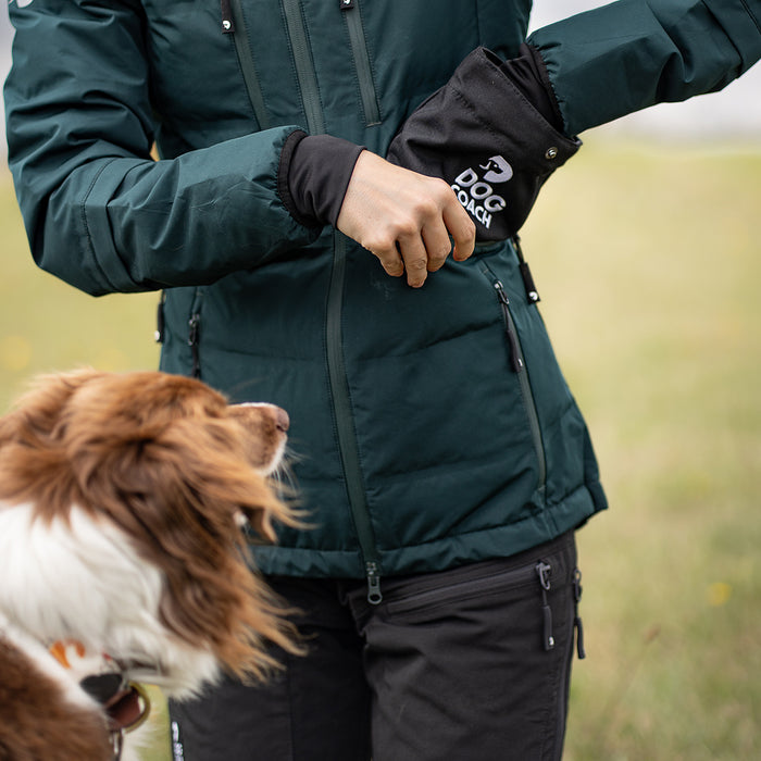 DogCoach Treat Pocket | Hobby | Regular | Bison | Xabi