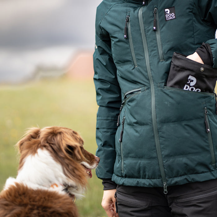 DogCoach Treat Pocket | Hobby | Regular | Bison | Xabi