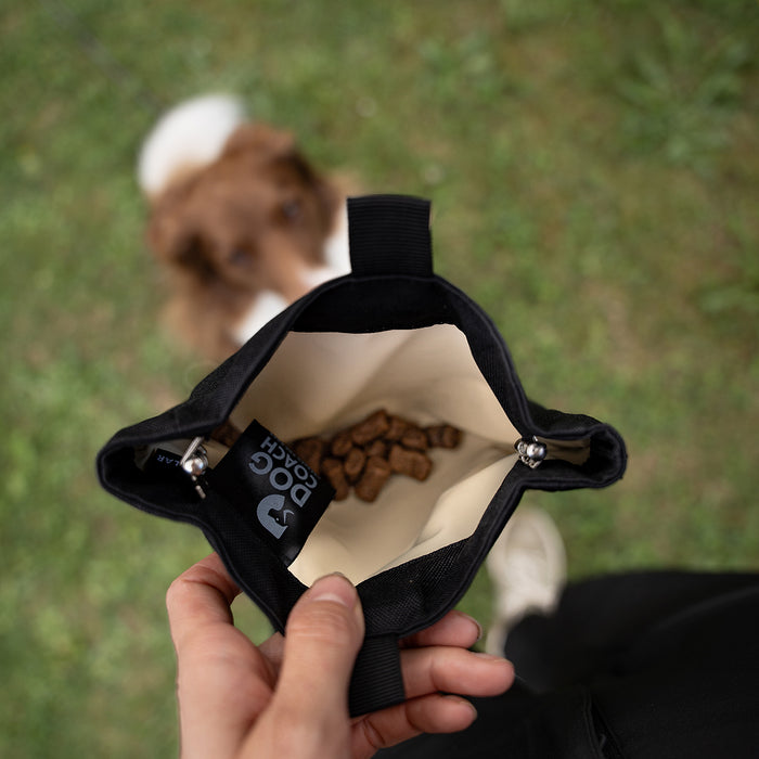 DogCoach Treat Pocket | Elite | Regular | Bison | Natz