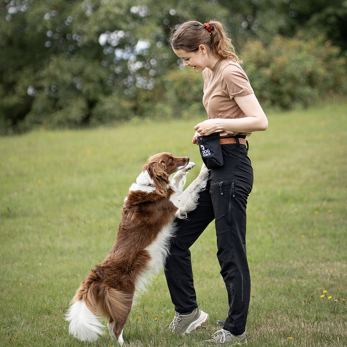 DogCoach Treat Pocket | Hobby | Regular | Bison | Xabi