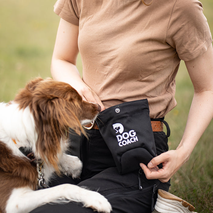 DogCoach Treat Pocket | Hobby | Regular | Bison | Xabi