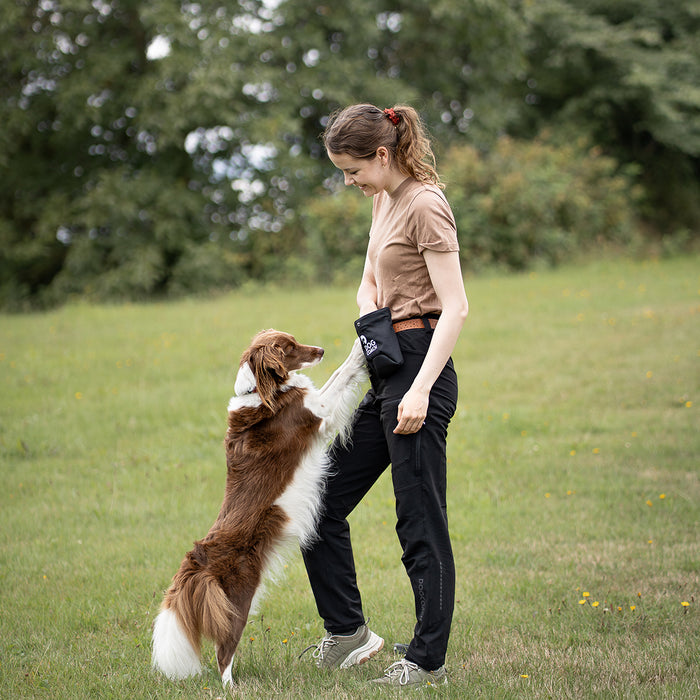 DogCoach Treat Pocket | Hobby | Regular | Bison | Xabi