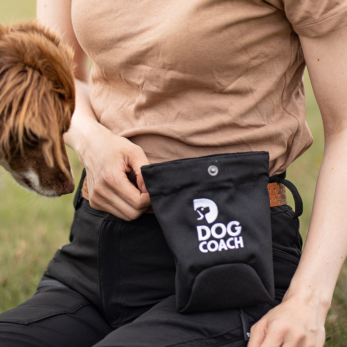 DogCoach Treat Pocket | Hobby | Regular | Bison | Xabi