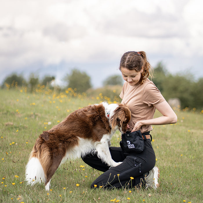 DogCoach Treat Pocket | Elite | Regular | Bison | Natz