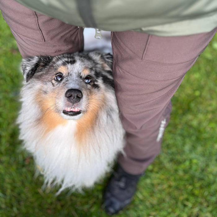 Winter Pants 2.0 | Short | Bison | Reynard