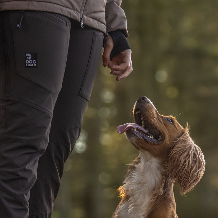 Dog Walker Allround Pants | Bison | Long | Ready