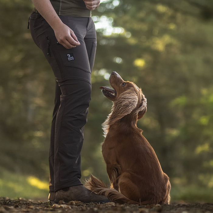 Dog Walker Allround Pants | Bison | Long | Ready