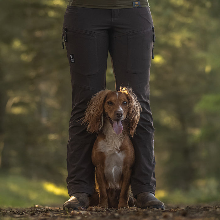 Dog Walker Allround Pants | Bison | Long | Ready
