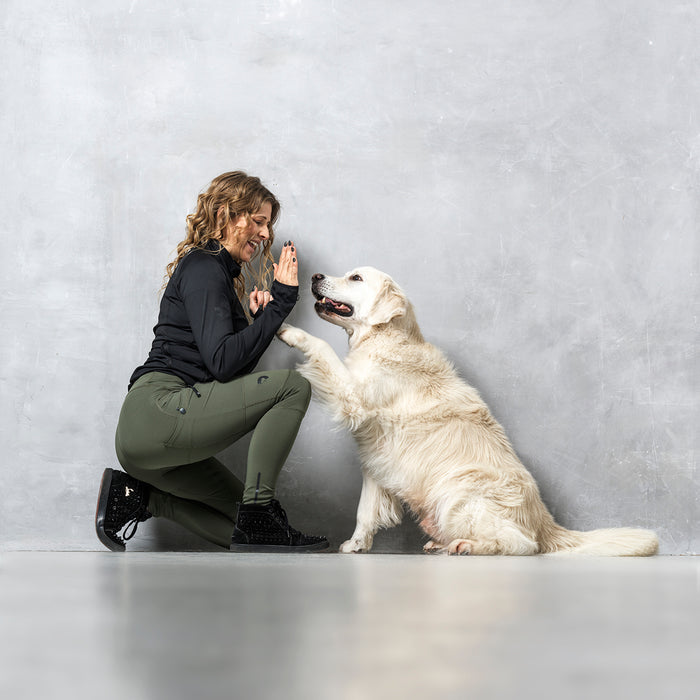 FeelFree Dog Walker Tights | Beetle | Dakota
