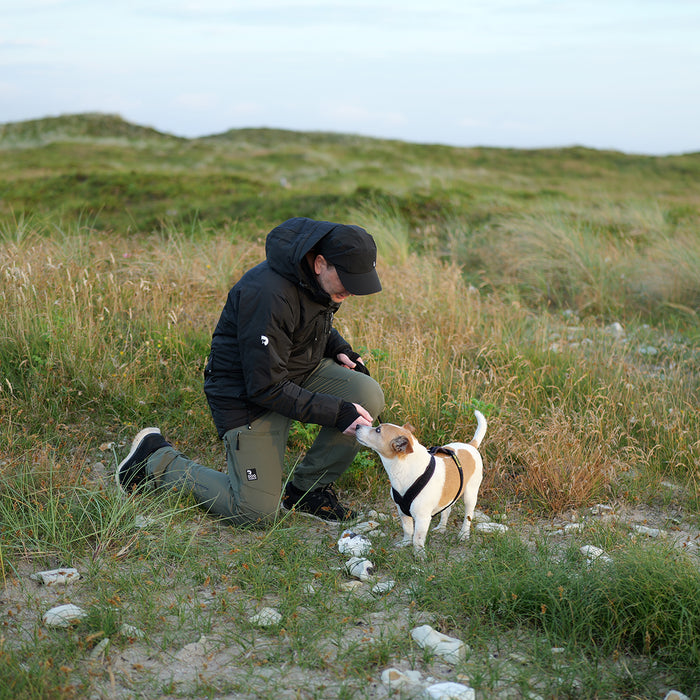 Dog Walker Allround Pants | Beetle | Regular | Auri