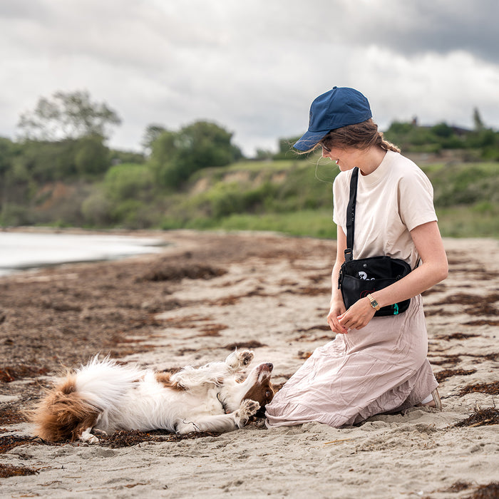 DogCoach summer bundle