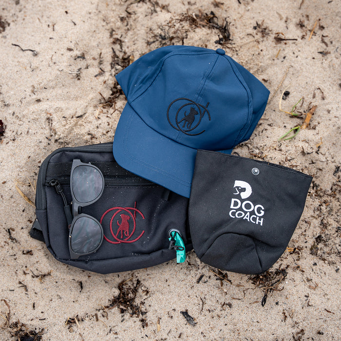 DogCoach summer bundle