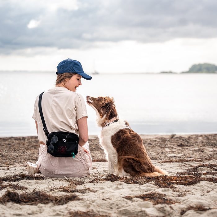 DogCoach summer bundle