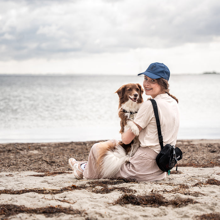 DogCoach summer bundle