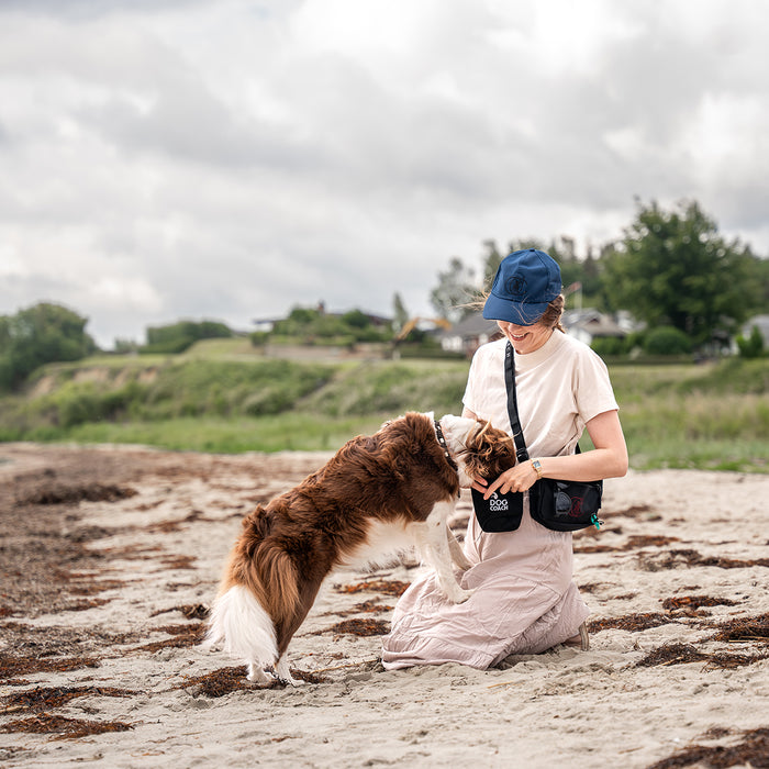 DogCoach summer bundle